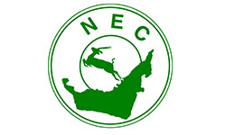 الشركة الوطنية للصرافة 