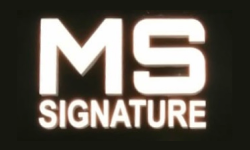 M S Signature Ladies Wear - L.L.C